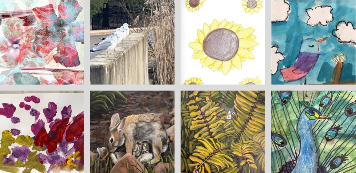 Various biodiversity-themed artwork submitted by local artists, including birds, flowers, landscapes, and abstract artwork.