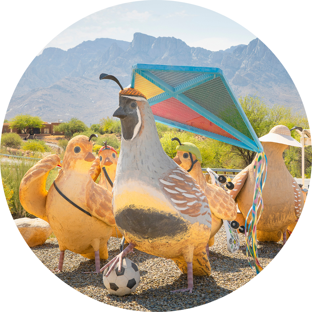 naranja park quails