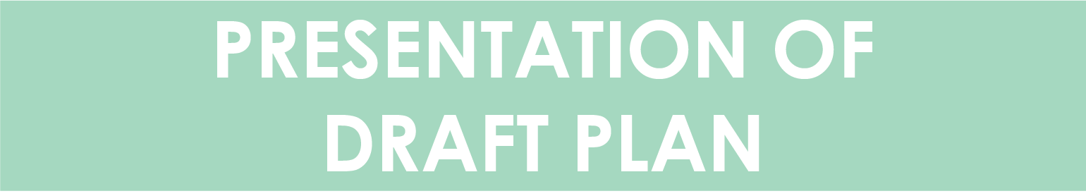 Presentation of Draft Plan Icon