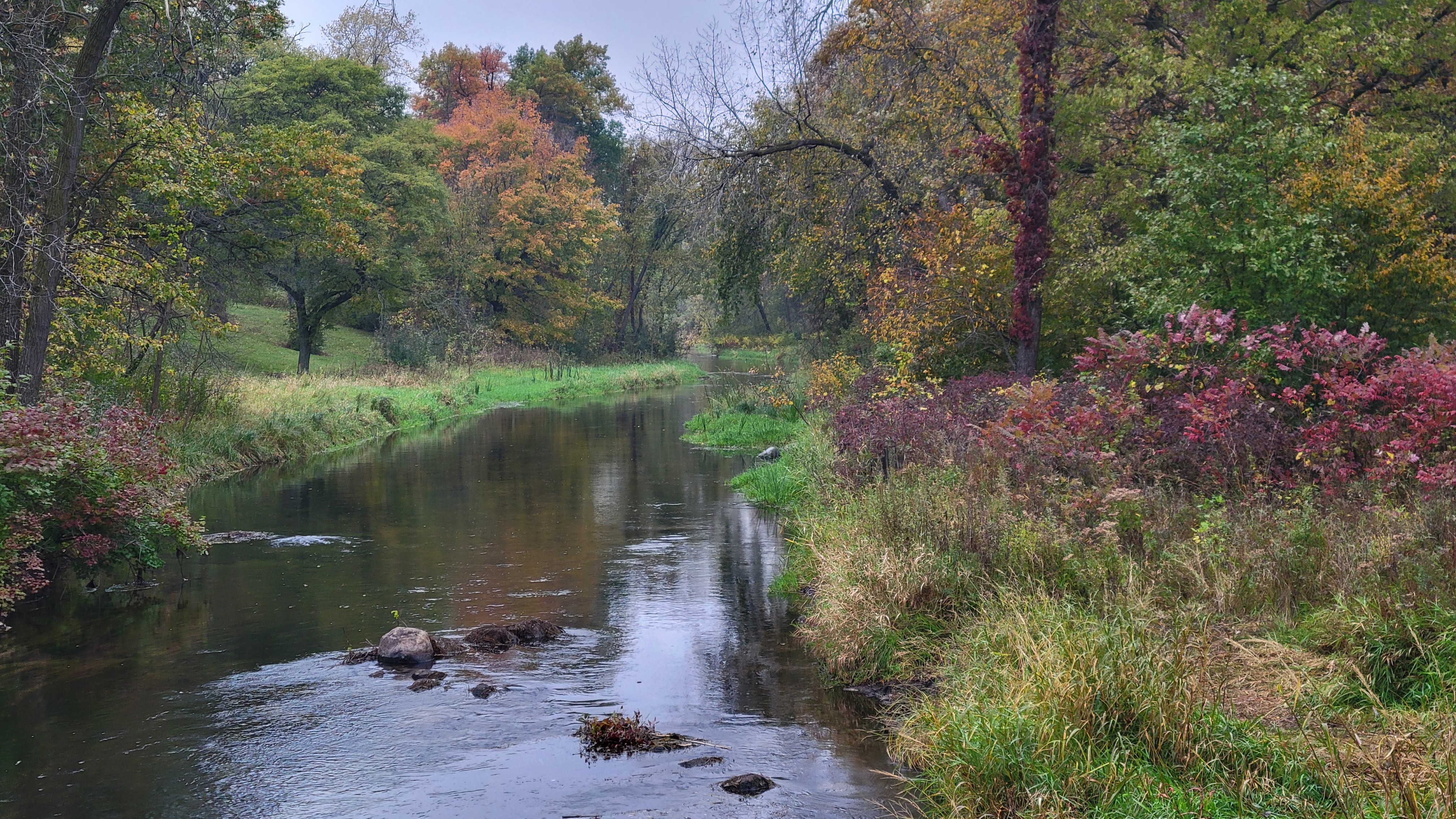 Minnehaha Creek winds through the heart of this park with woodland on either side