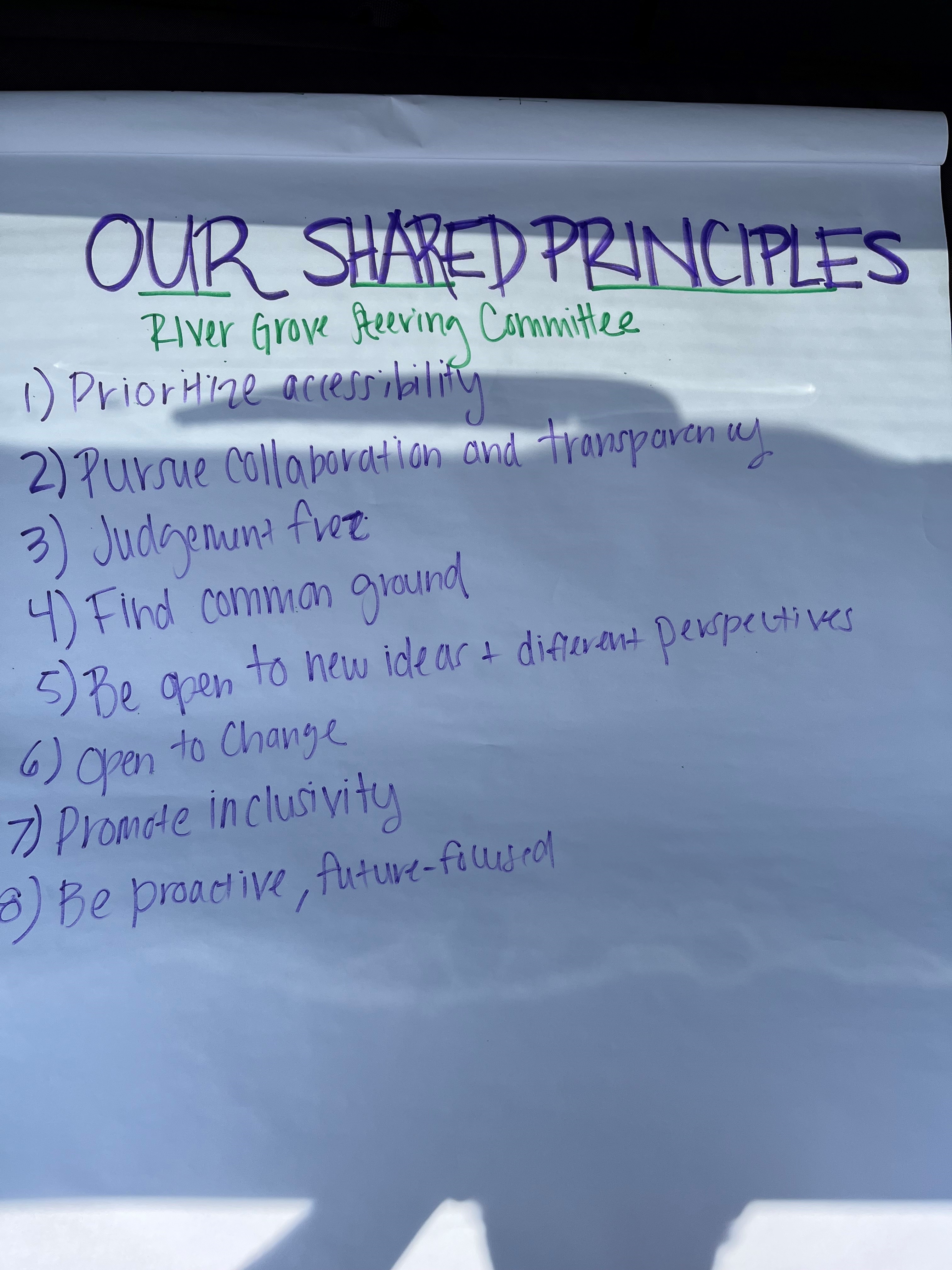 RECAP: Steering Committee Meeting | Reimagine River Grove | Engage with ...