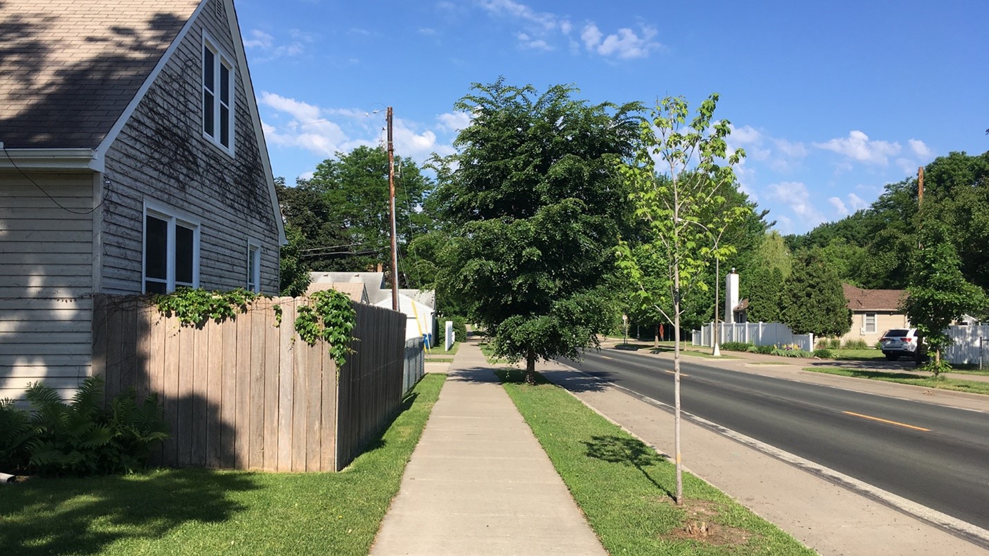 A street with trees in the boulevard, a house with a fence, and a sidewalk