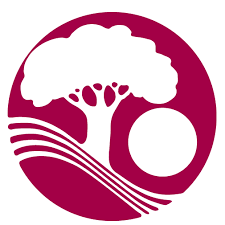 Team member, Phary Om