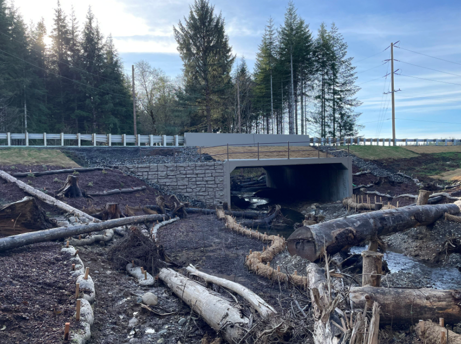 Photo of a precast three-sided concrete structure placed underneath US 101. A stream flows under the highway with large logs in and around the water.