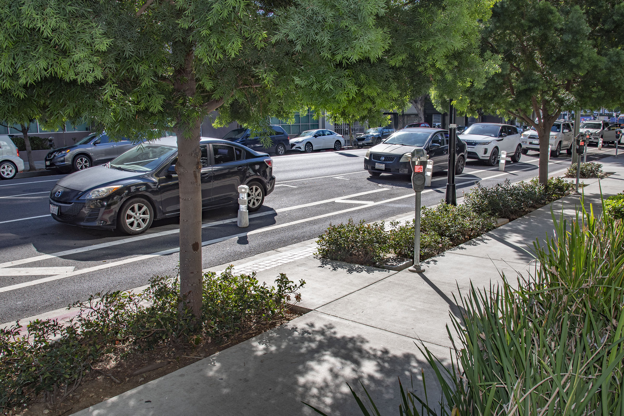 Street trees in planting strip provide shade along the sidewalk.