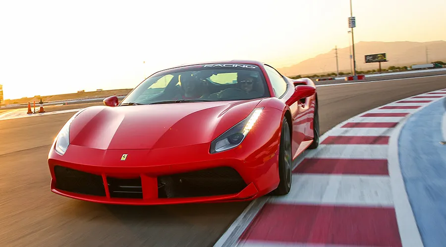 Happy Customer- 488(1)