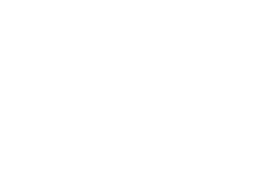 Merit Special Mention