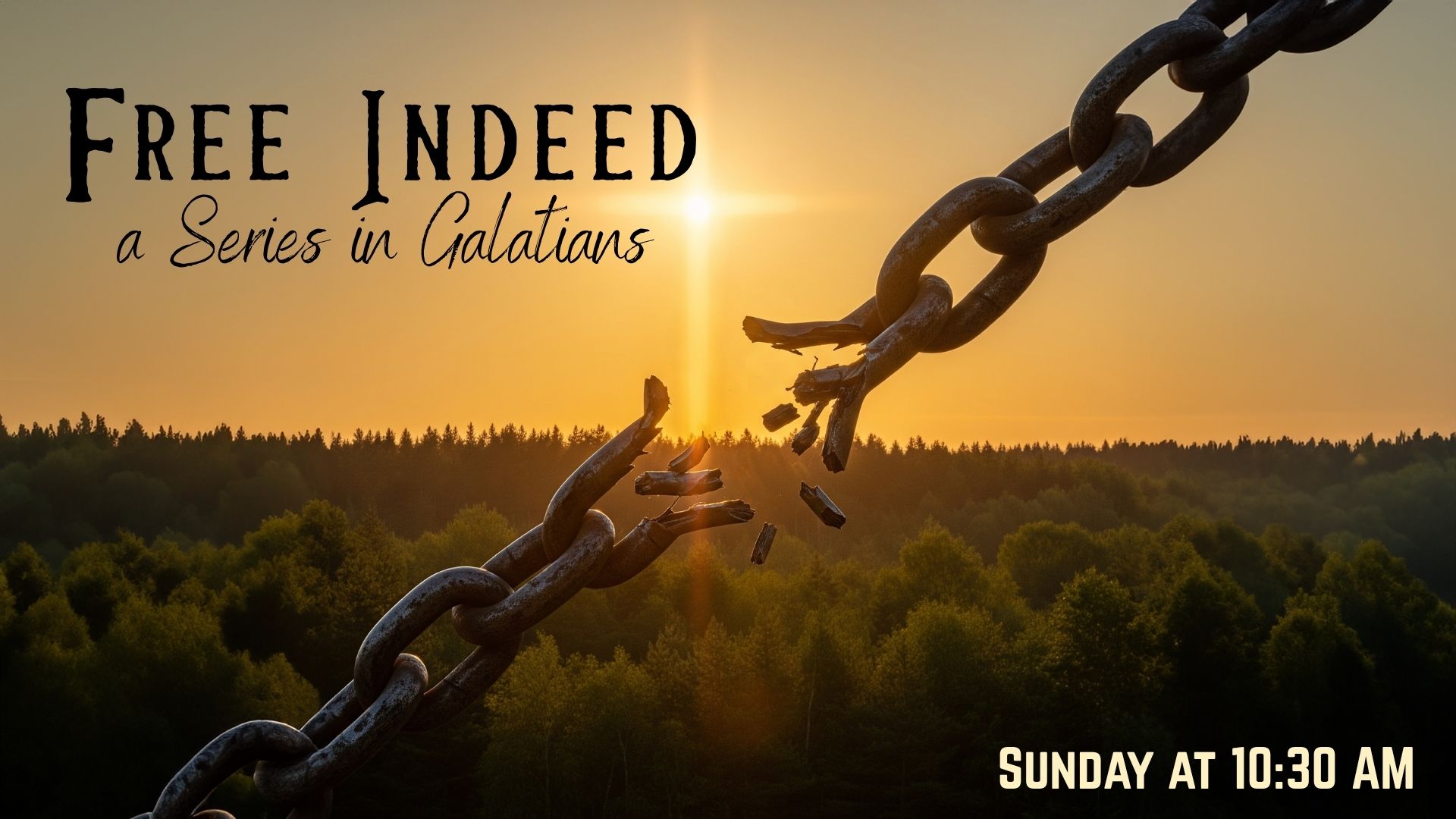 Free Indeed: a Series in Galatians