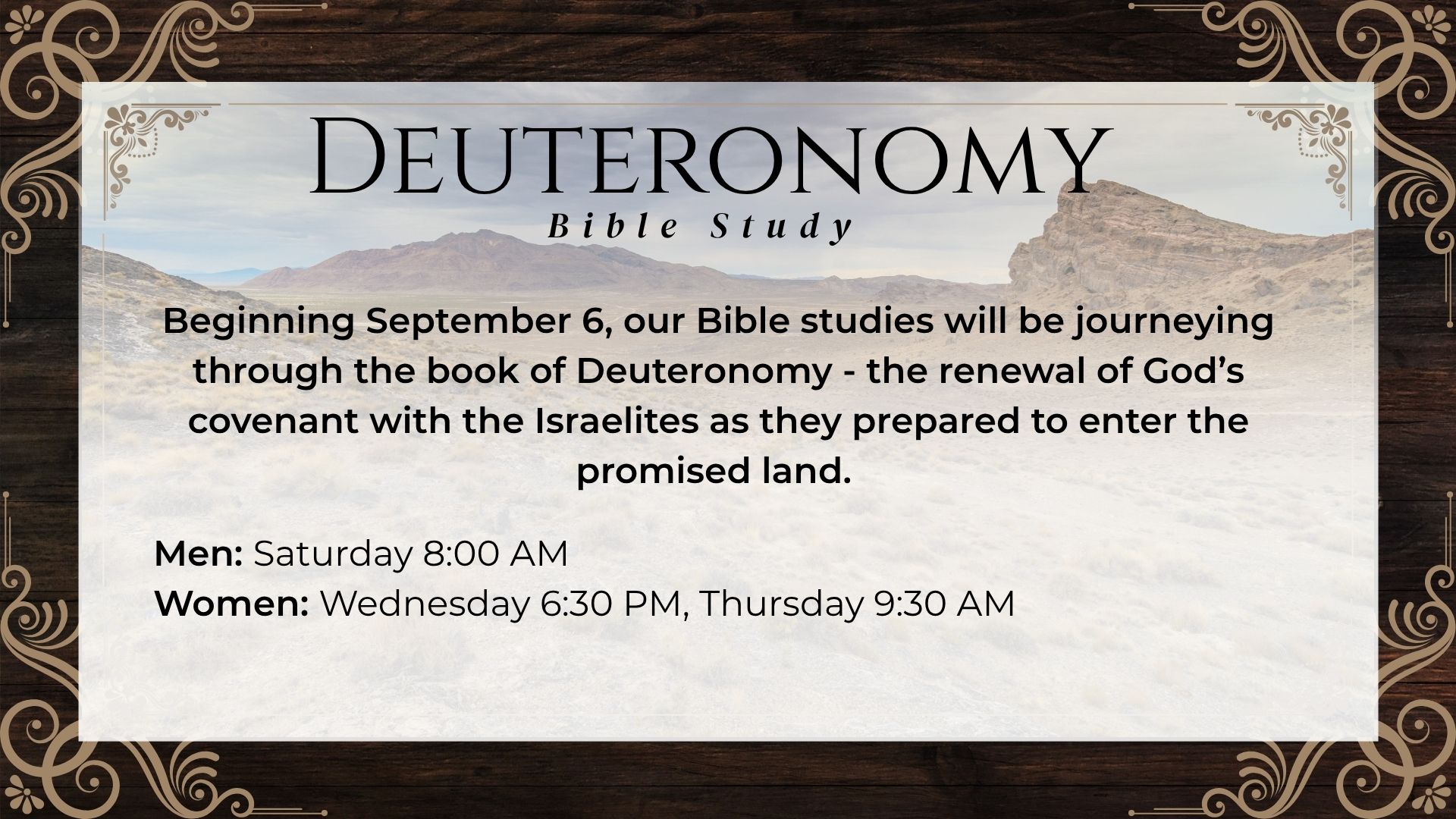 Bible Studies