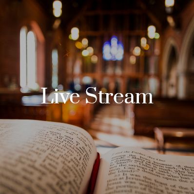 Live Stream
