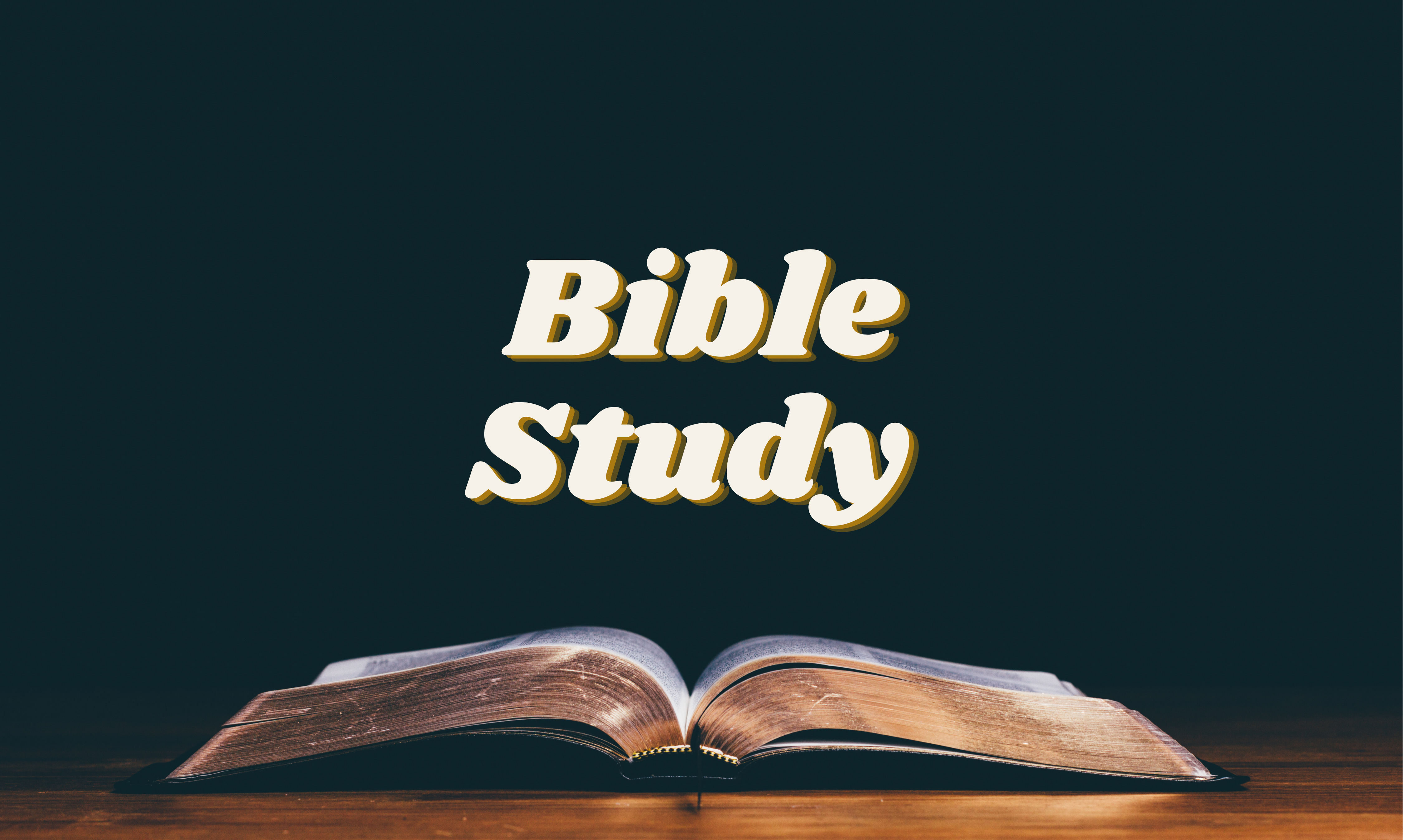 Bible Study