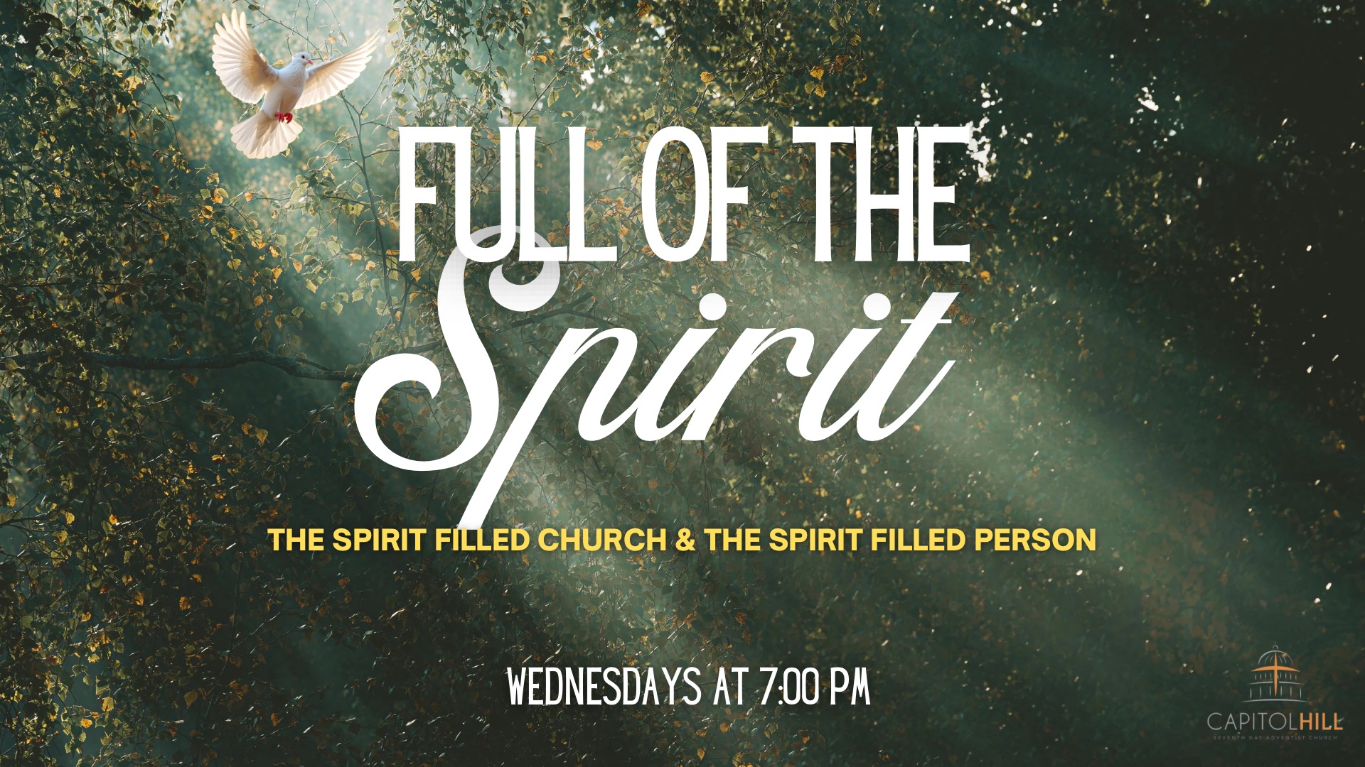 Wednesdays in the Word Full of the Spirit Series