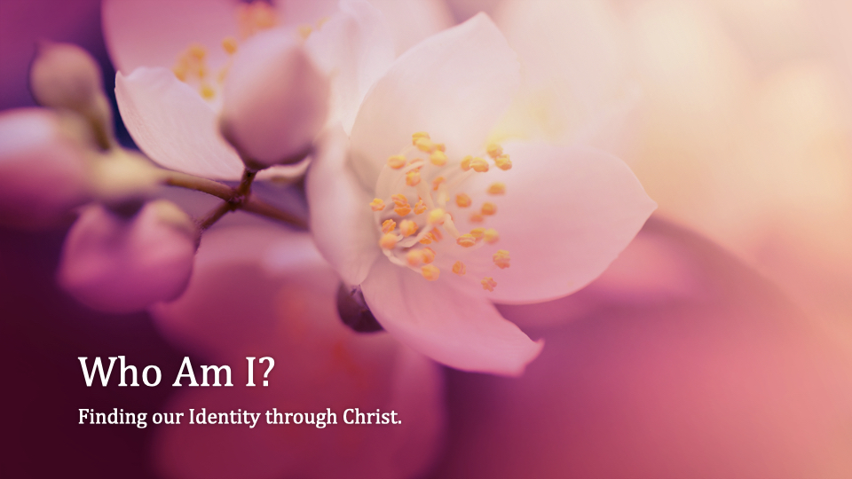 Who Am I? - Women