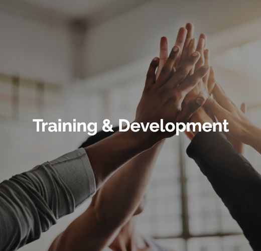 Training & Development