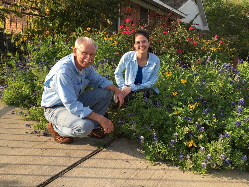 Citizen scientist helping Dr. Dara Satterfield with groundbreaking Monarch butterfly research