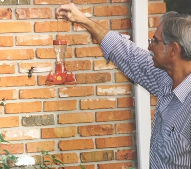 Hummingbirds were abundant and fearless in our yard in 1997.