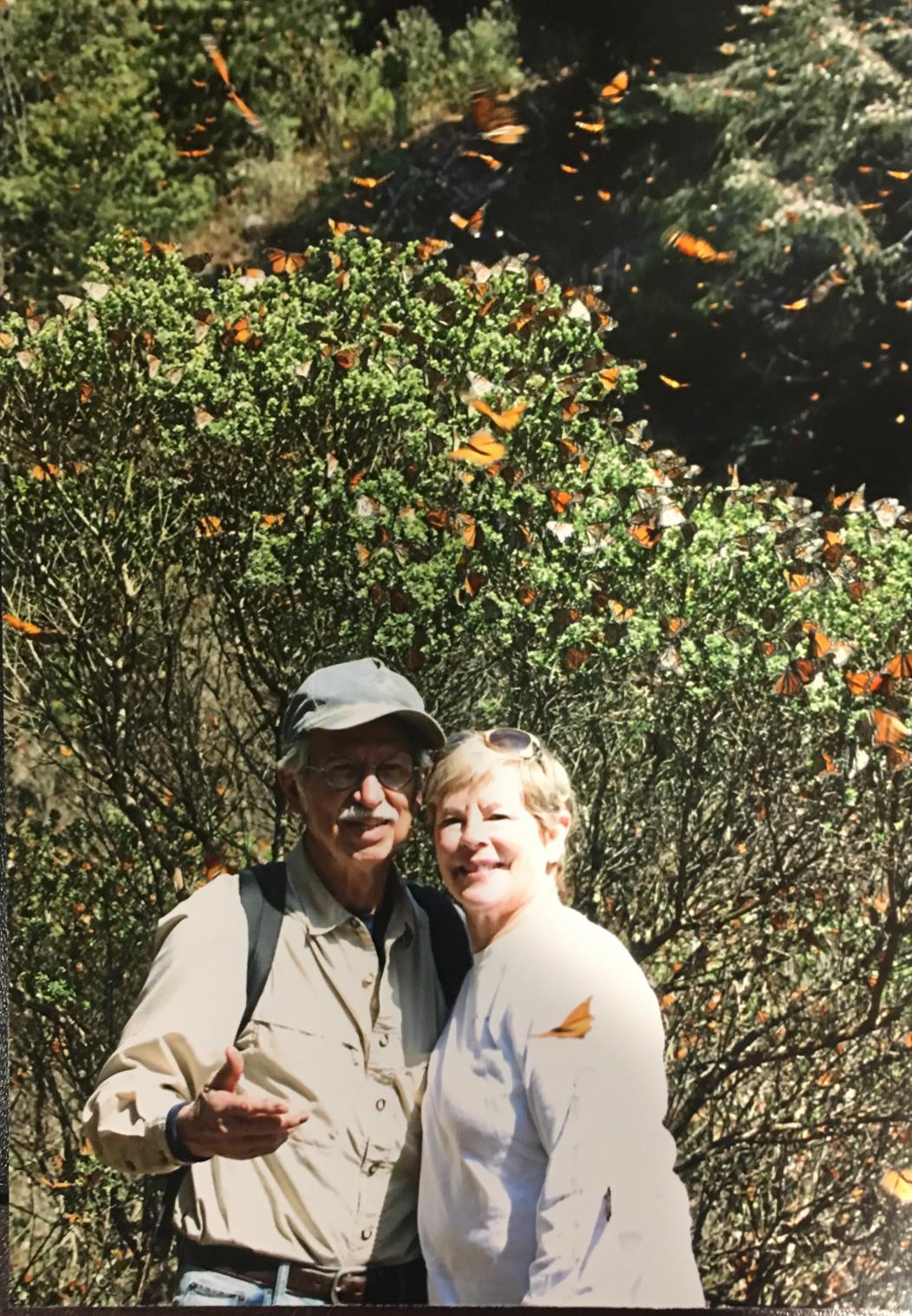 High in the mountains of Mexico at a Monarch butterfly sanctuary, 2011