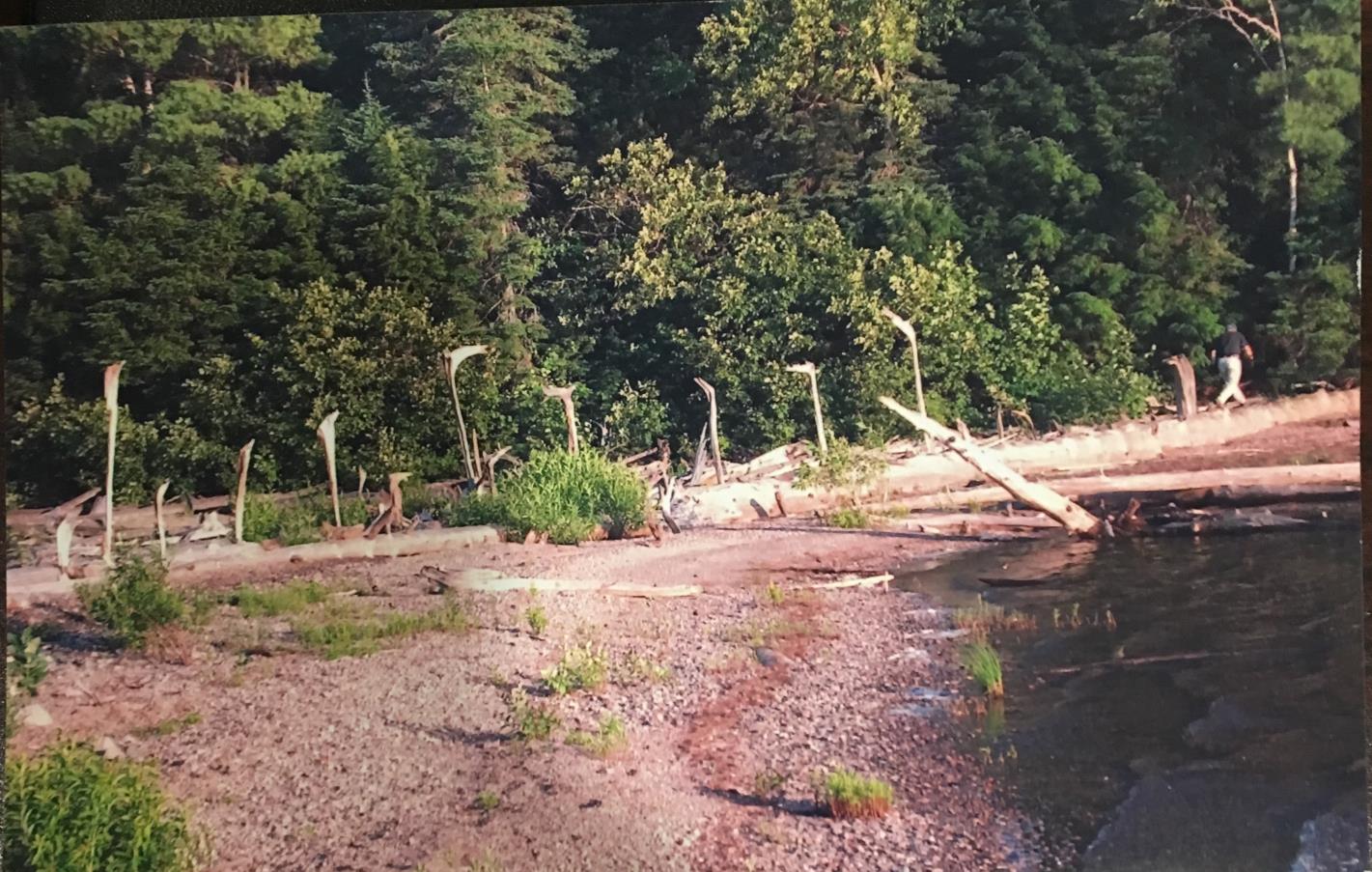 Gene worked for hours on his driftwood art installation, remote island in Algonquin Provincial Park.