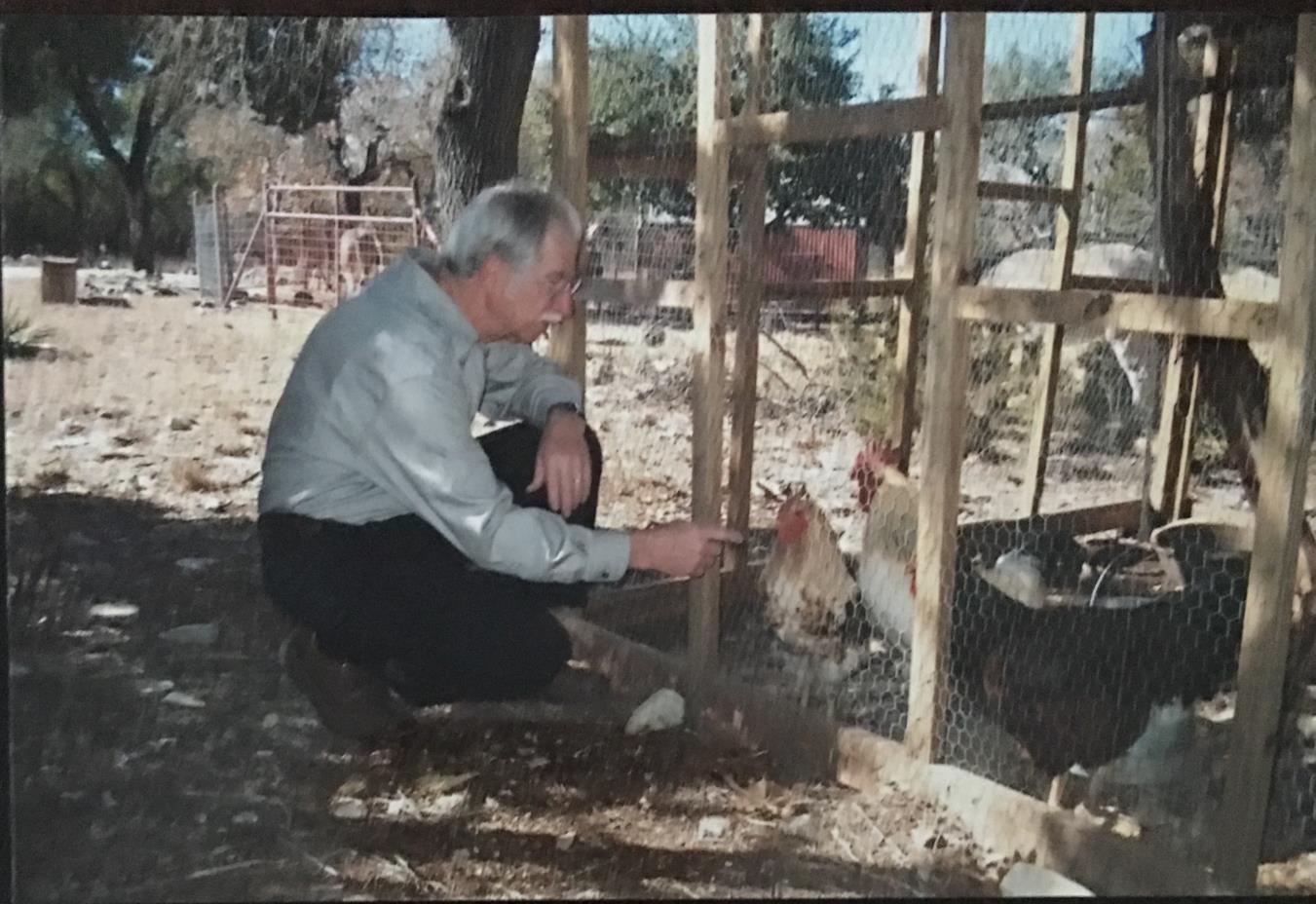 Hill country, 2006