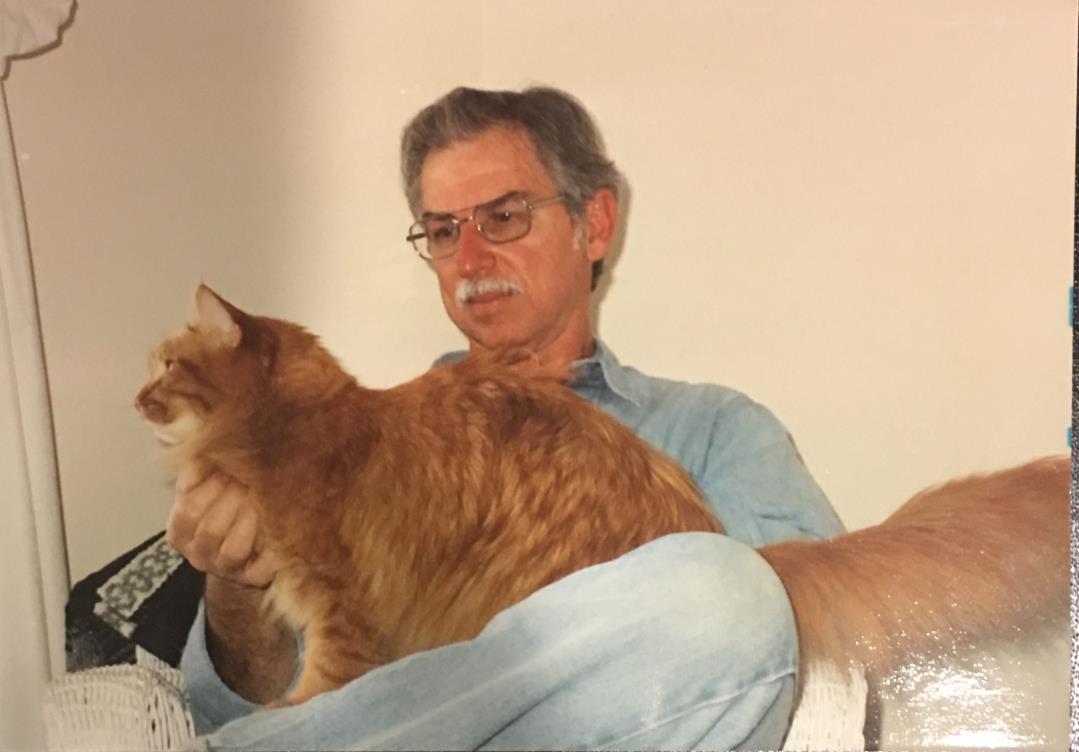 Gene and Marty's Maine Coon cat, Nicodemus, 1989.