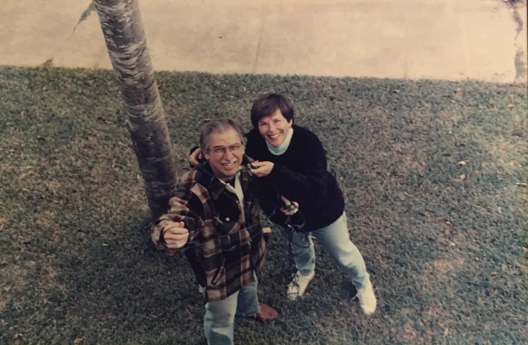 View from the roof, hanging Christmas lights 1989