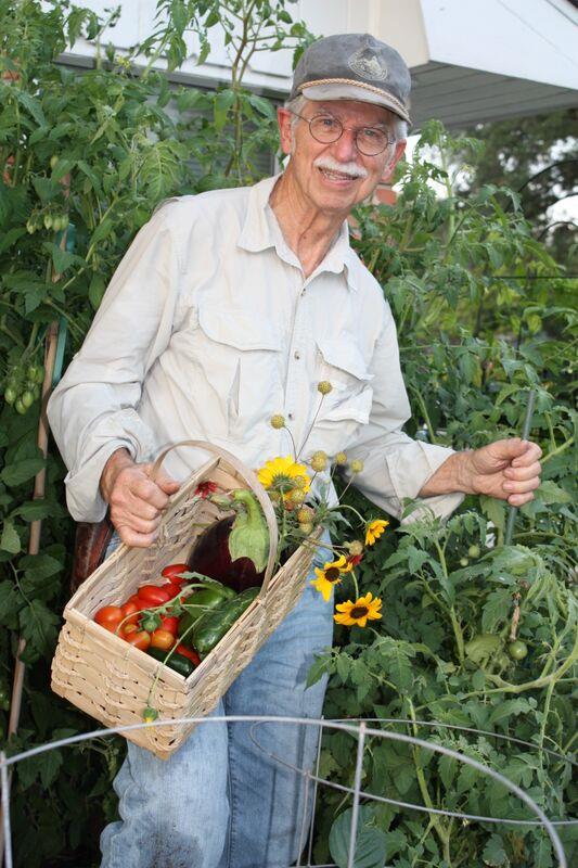 Harvesting!