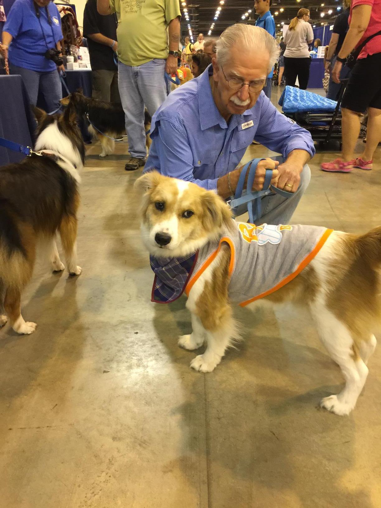 The day we met Jax at the AKC dog show, July 19, 2015.