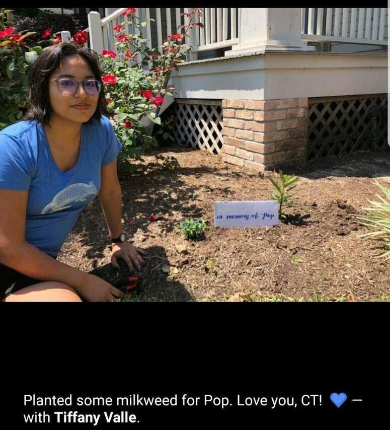 Jennifer's derby friend, Tiffany Valle, planted milkweed to honor Gene after his death.