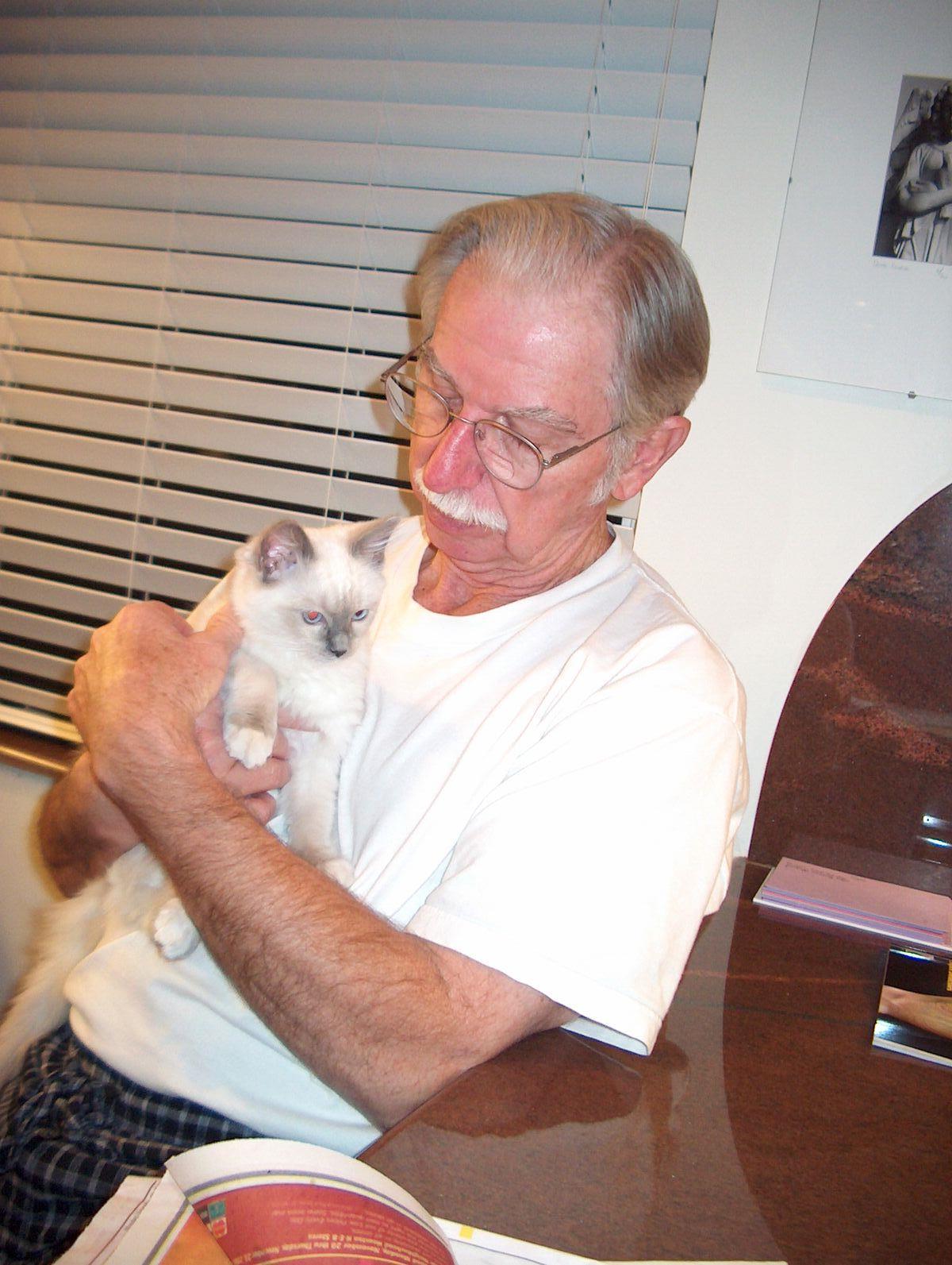 Ragdoll kitten, Zoe, Marty's Christmas present, Christmas 2006.