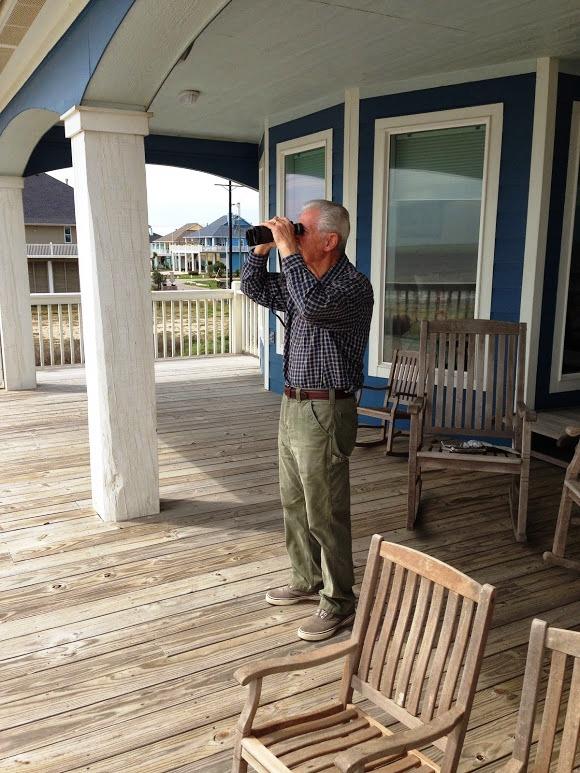 Searching for dolphins, Galveston, 2014.