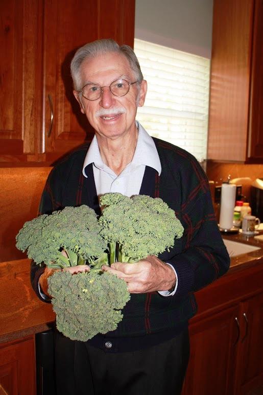 Broccili harvest from the Sun Valley garden.