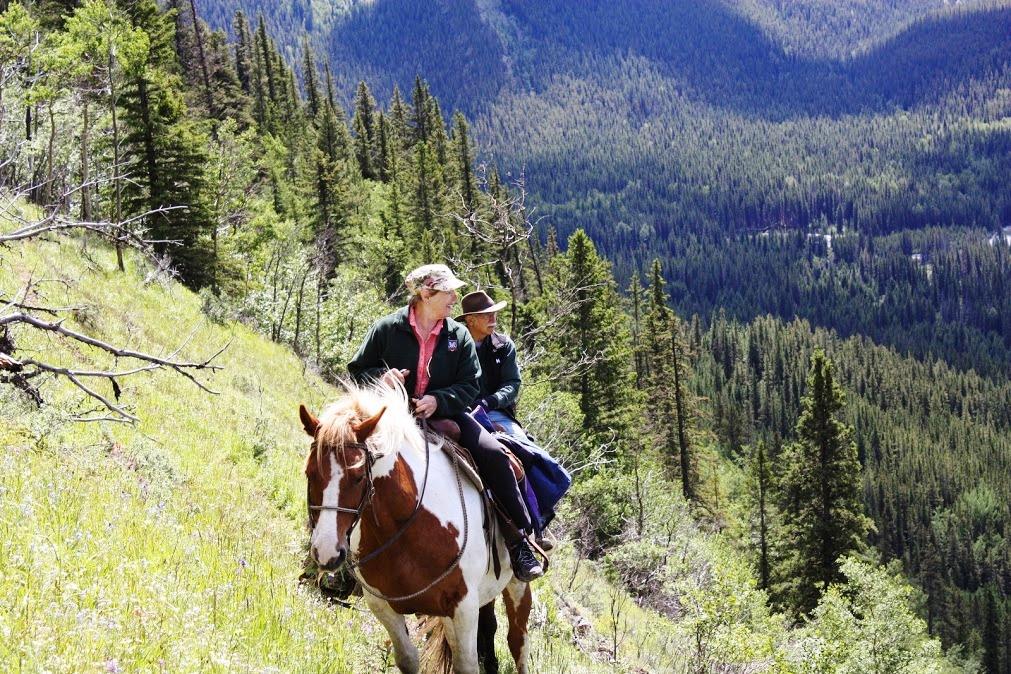 At home on horseback, 2011.