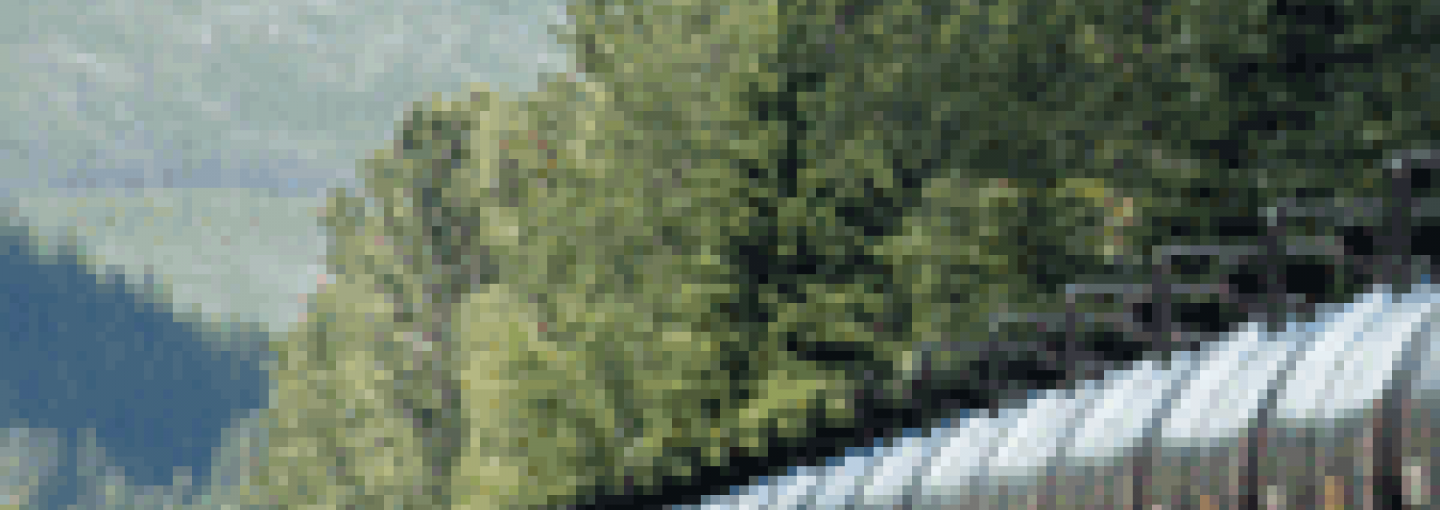 Oil on Rails Image - Oil on Rails