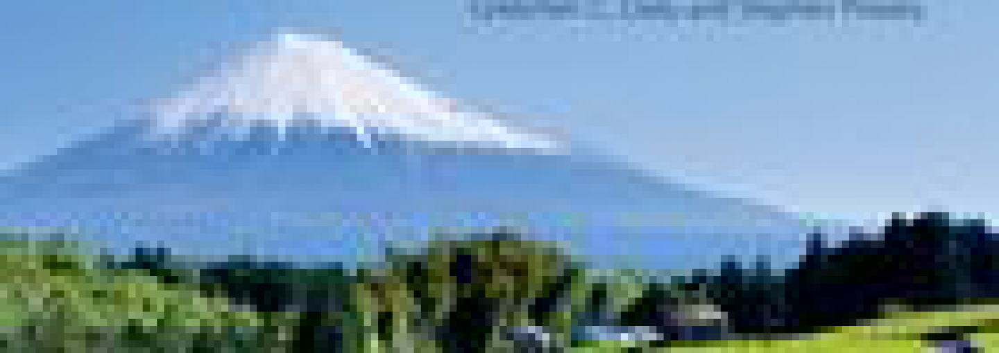 Investing in Natural Capital Image - Investing in Natural Capital