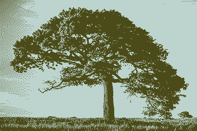 Arbol 1 bit - 2 colores