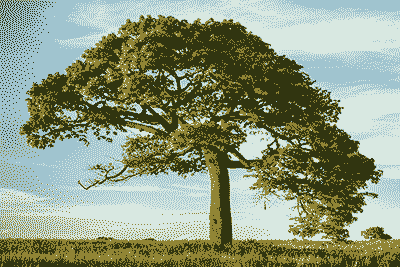 Arbol 2 bits - 4 colores