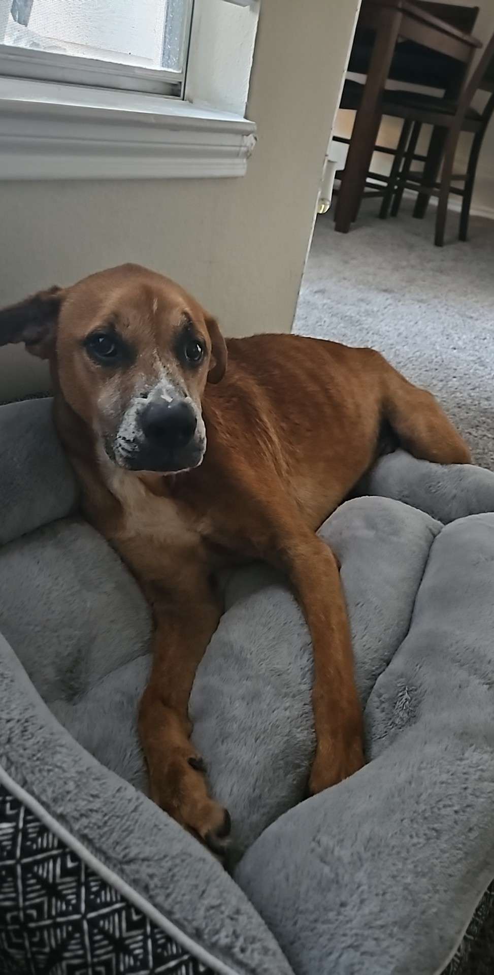 Image 62423eec 9b1c 4950 a8bc f45061a799b8