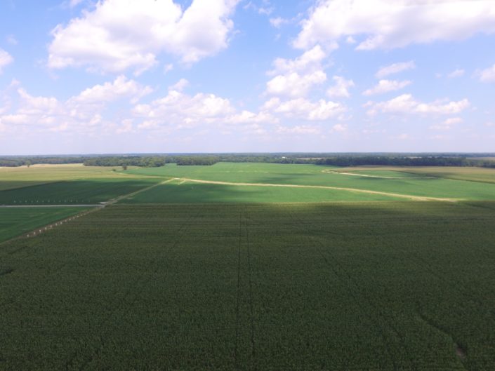 The Smith Trust Farmland Auction