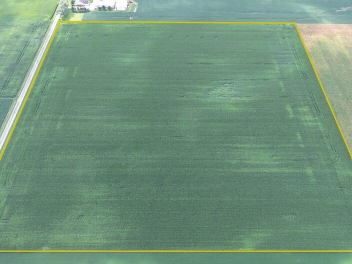 Piatt County Farm - 40.0 +/- Acres