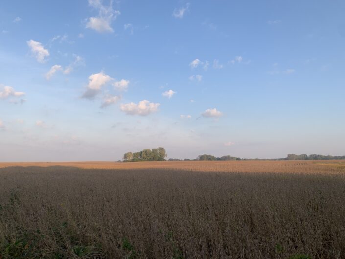 Online Only - Menard County