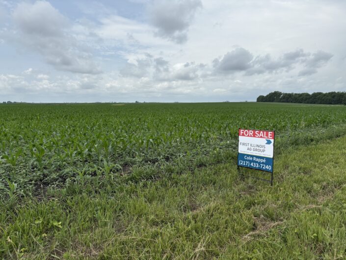 McDonough Farm - 80.0 +/- Acres