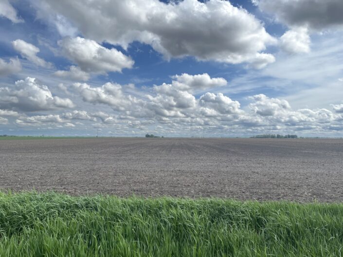 Schwenke Farm - 40.0 +/-  Acres