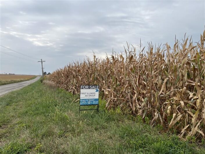 Pierson Farm - 80.27 +/- Acres