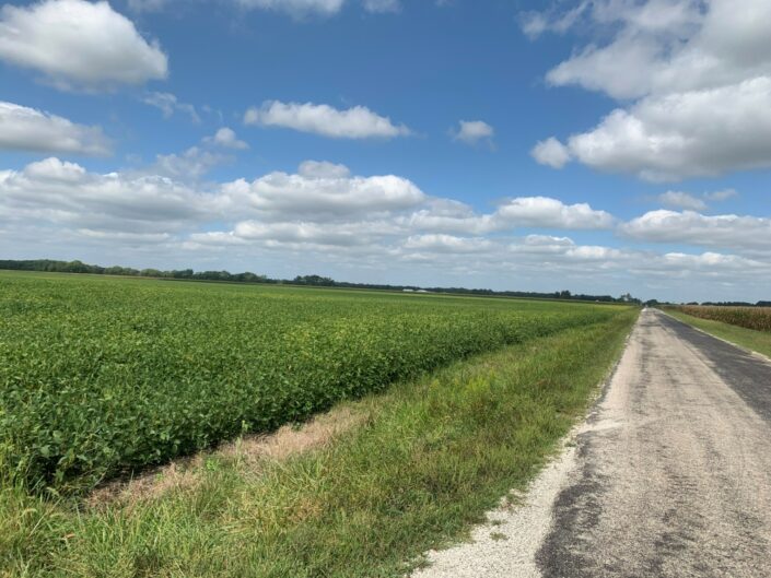 Large Trust Farm East Tract