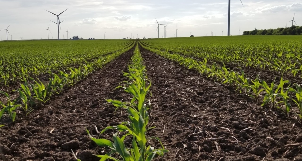 2019 Commodity Market Outlook