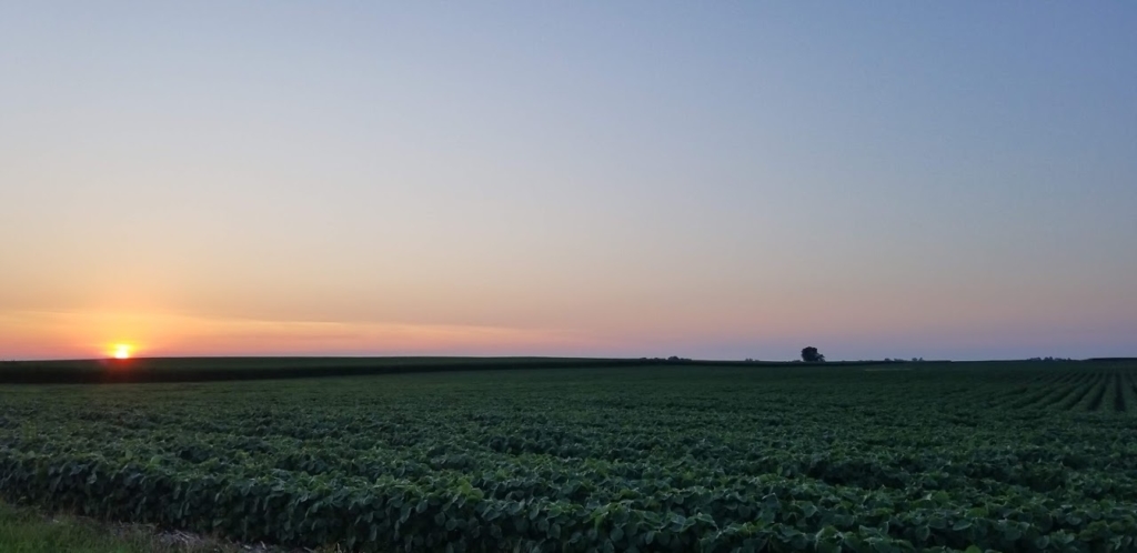 2018 Farmland Market Review