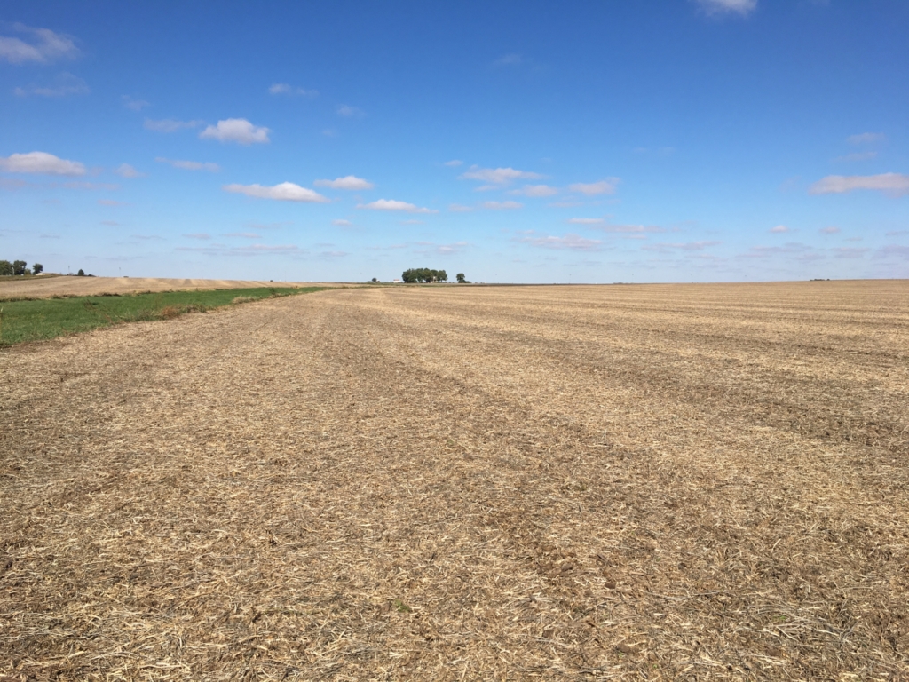 homes for sale macon county il