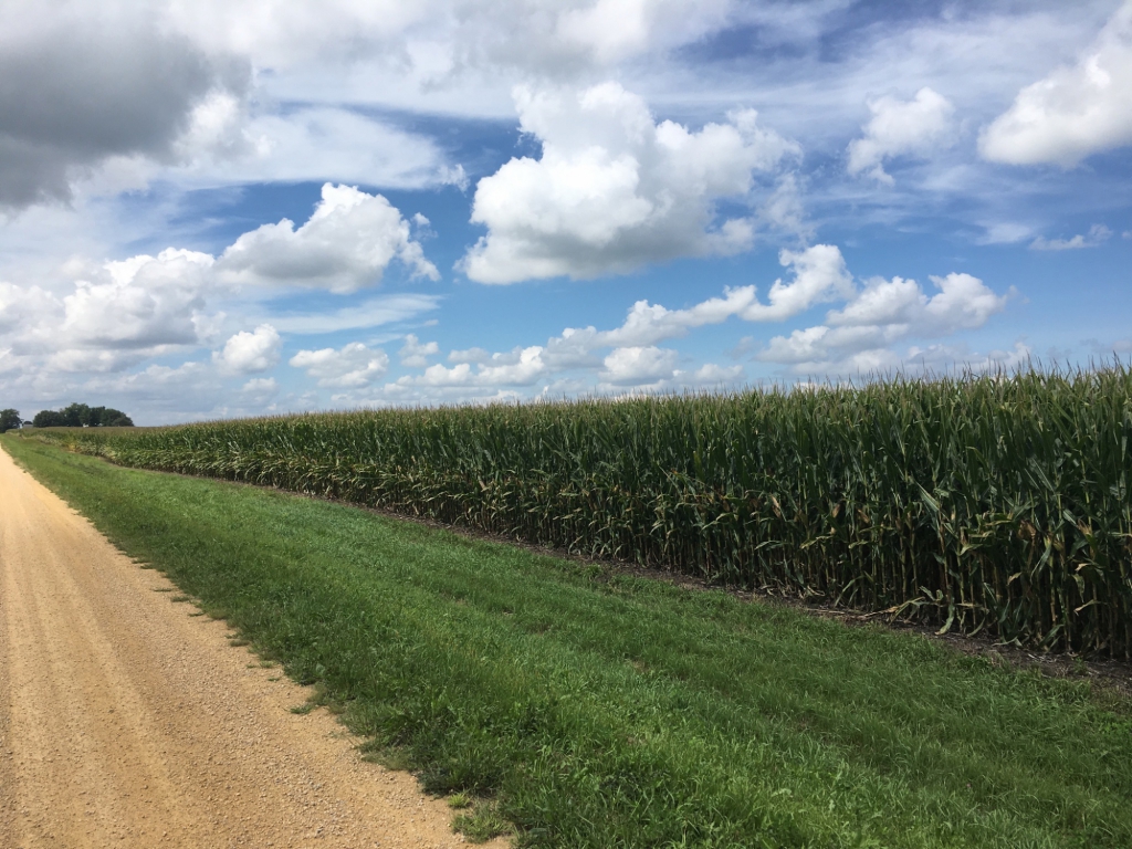 2016 Farmland Market Review
