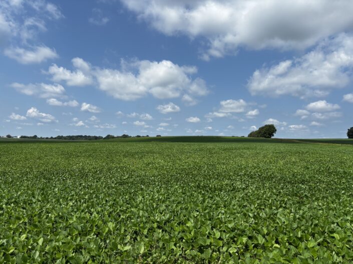 Bennyhoff Farm - 120.00 Acres