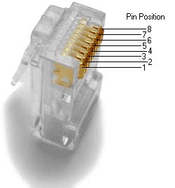 RJ45 Plug 8P8C